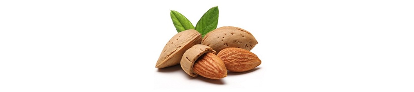 AMANDES