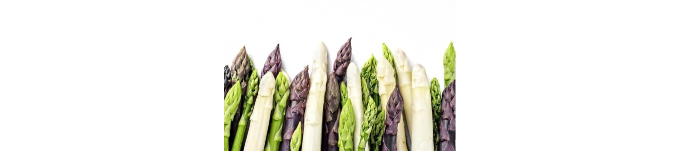 ASPERGES