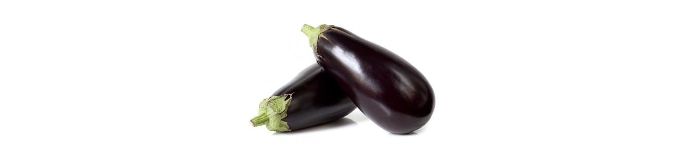 AUBERGINES