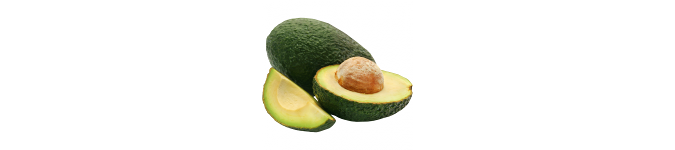 AVOCATS