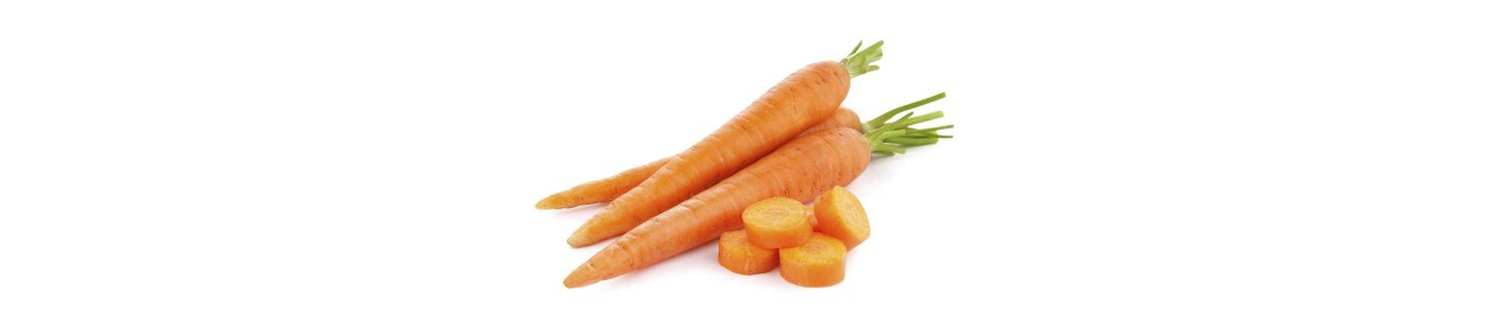 CAROTTES