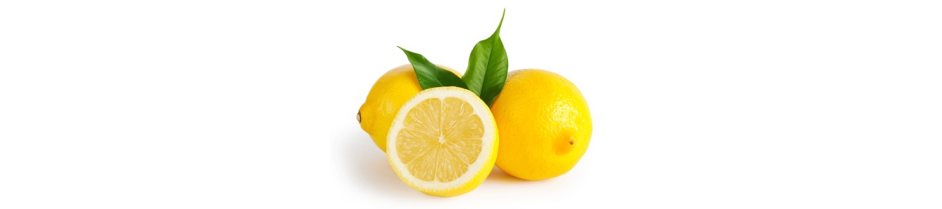 CITRONS