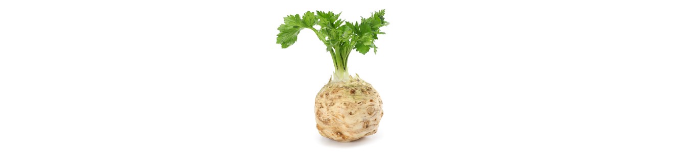 CELERIS