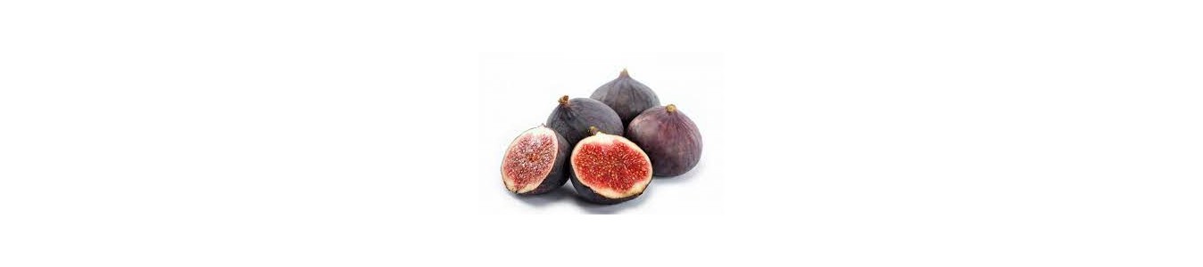 FIGUES