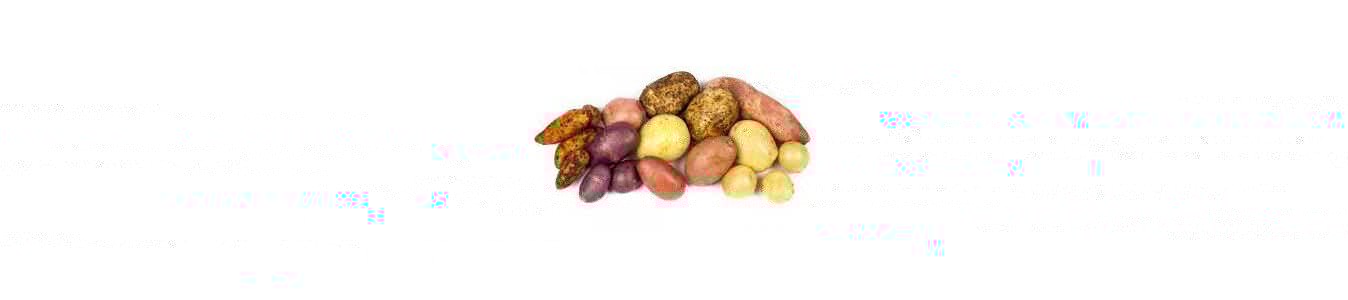 TUBERCULES