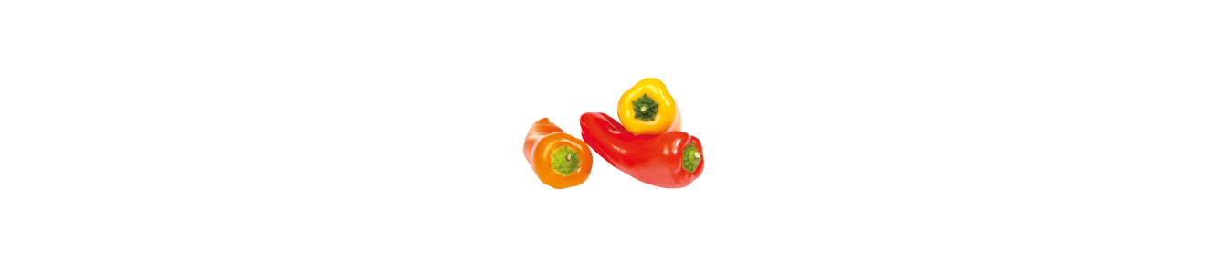 POIVRONS
