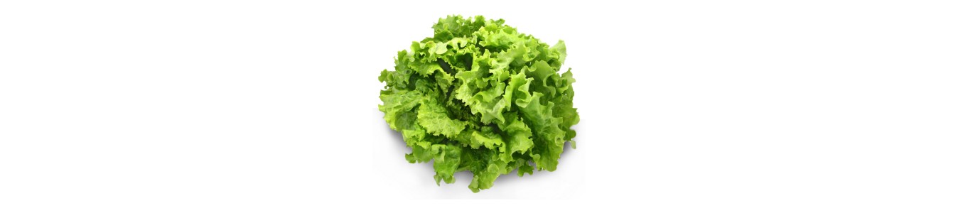 SALADES