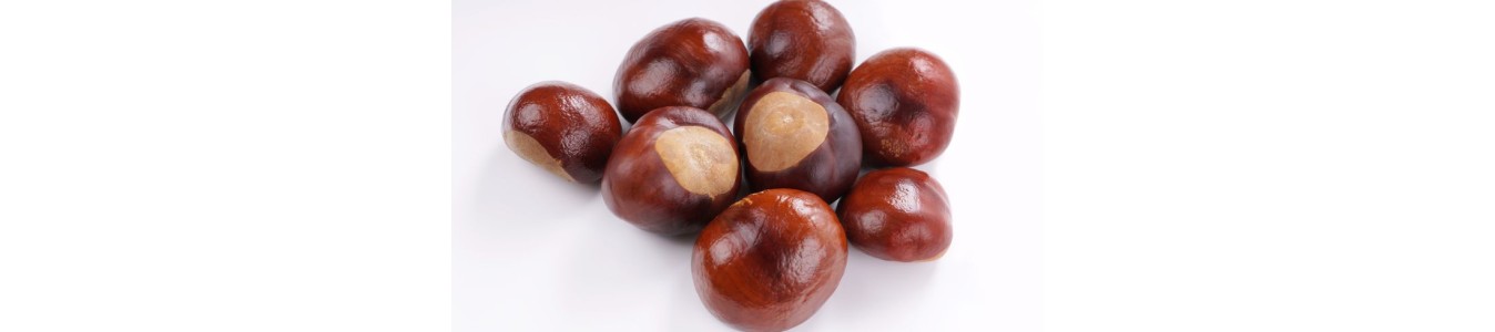 MARRONS