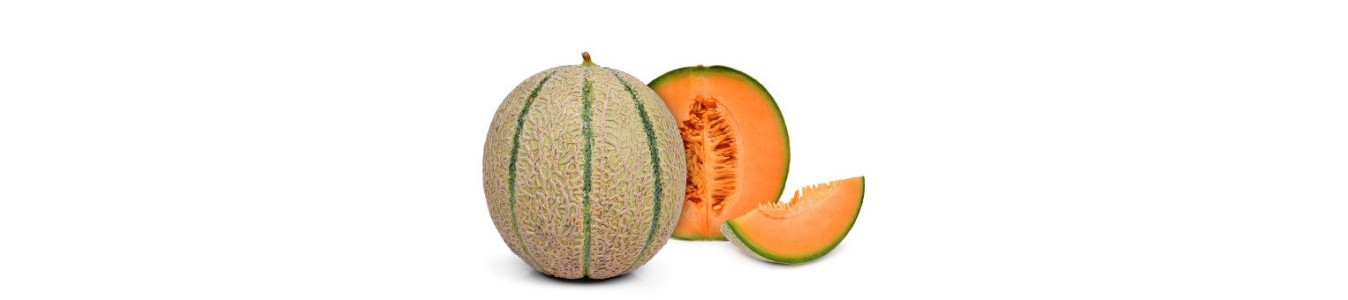 MELONS