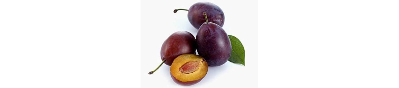 PRUNES