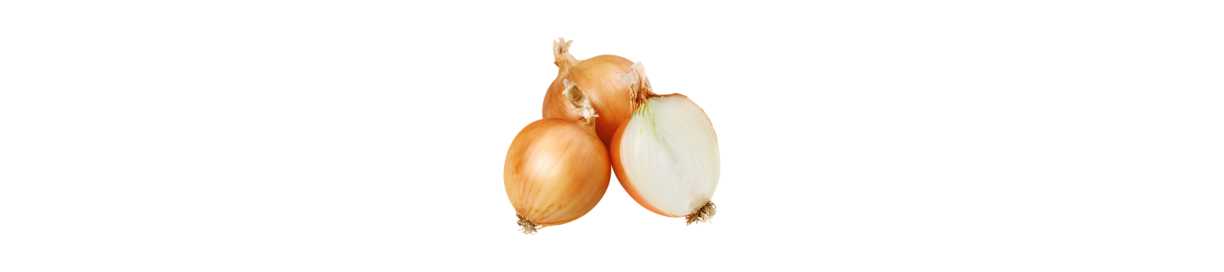 OIGNONS