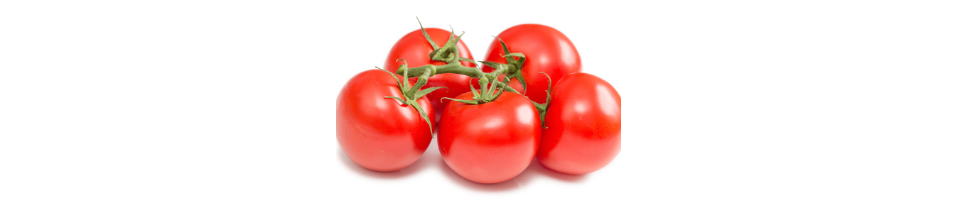 TOMATES