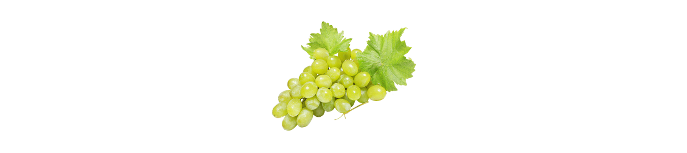 RAISINS