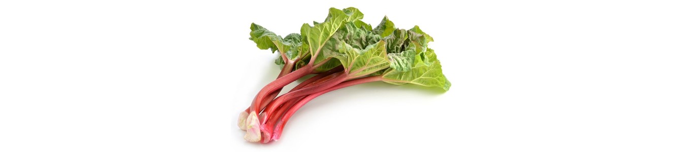 RHUBARBES