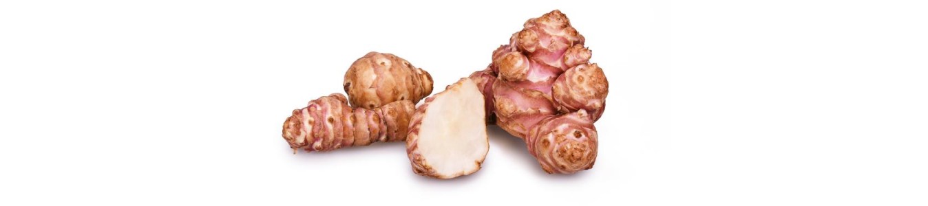 TOPINAMBOURS