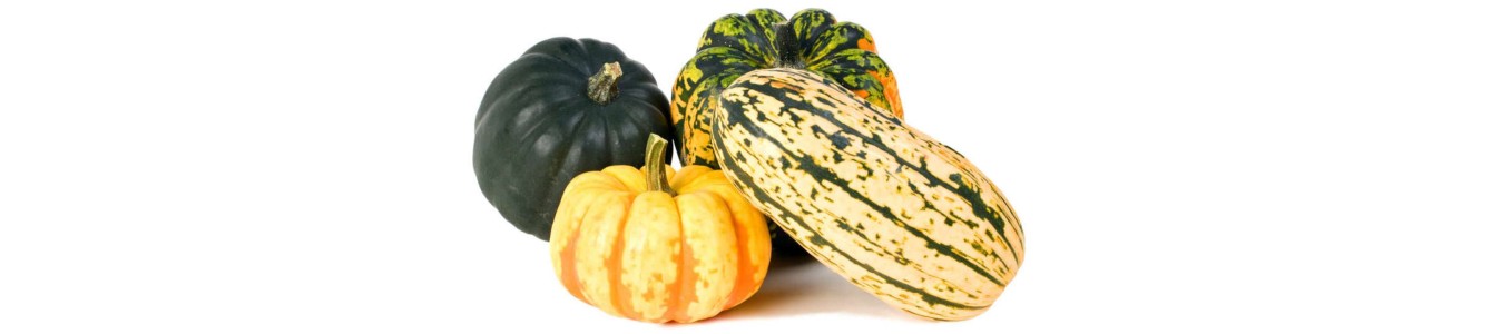 COURGES