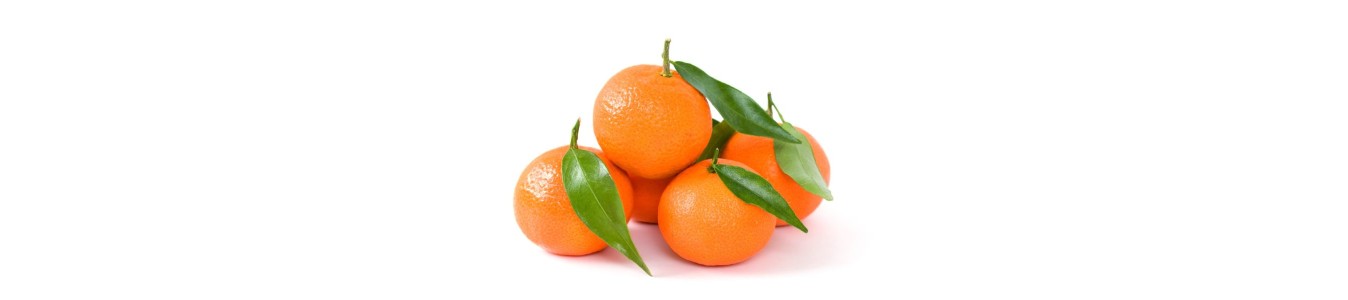CLEMENTINES