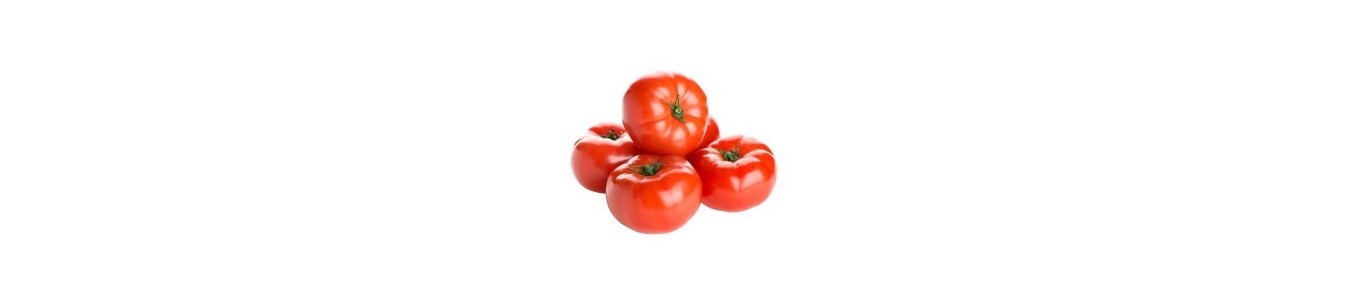 TOMATES