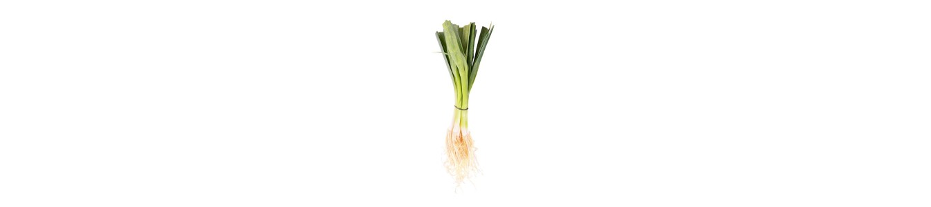 POIREAUX