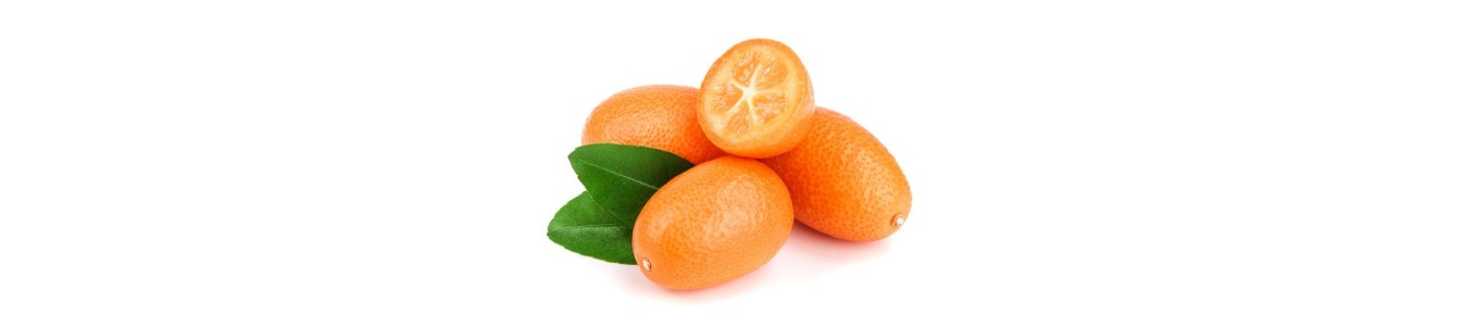 KUMQUAT
