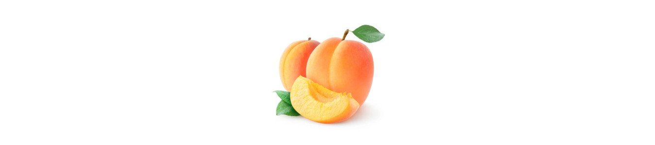 ABRICOTS
