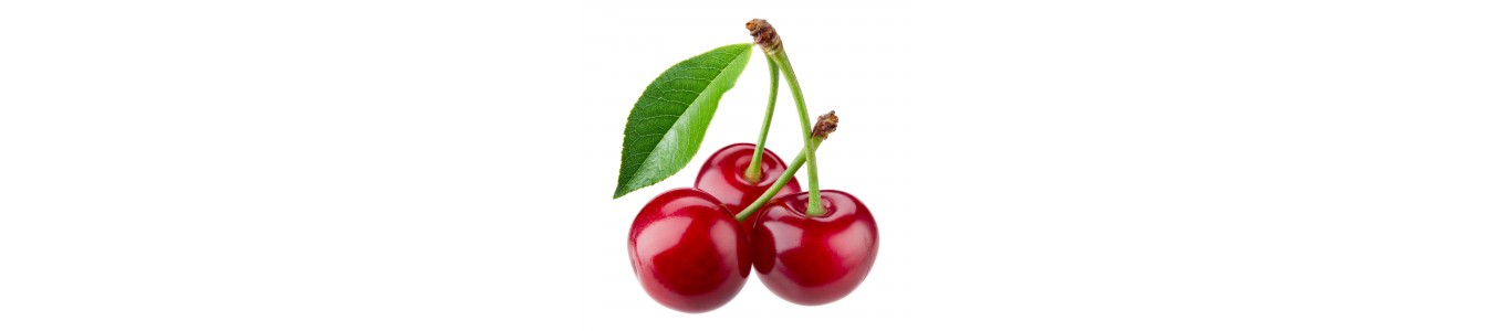 CERISES