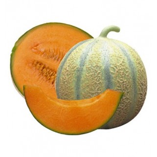Melon charentais rubis (12)