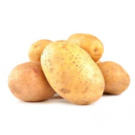 Pdt Frites  15kg caisse