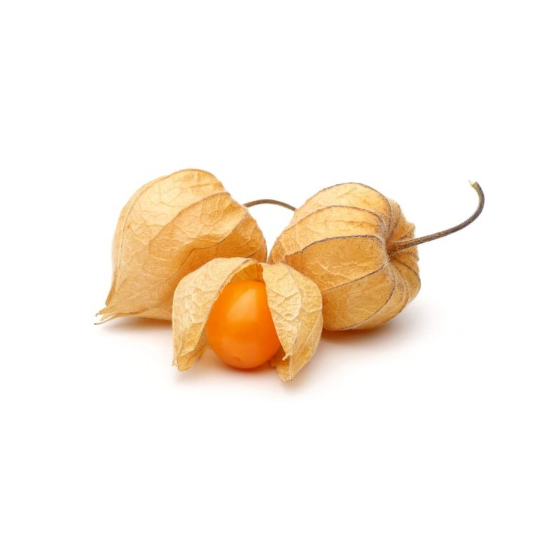 Physalis 100gr (12)
