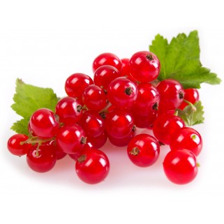 Groseille rouge 125gr (12)