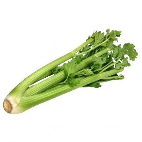 Celeri vert (9)