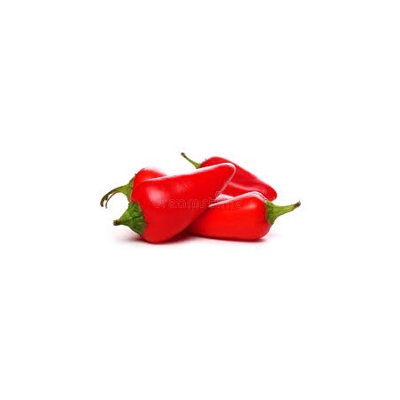 Mini poivron rouge (1kg)