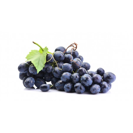 Raisin noir ss pepins (5)