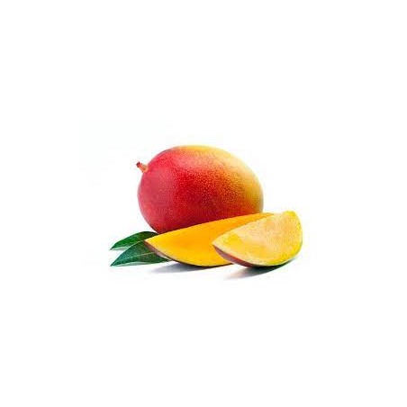 Mangue avion (10)