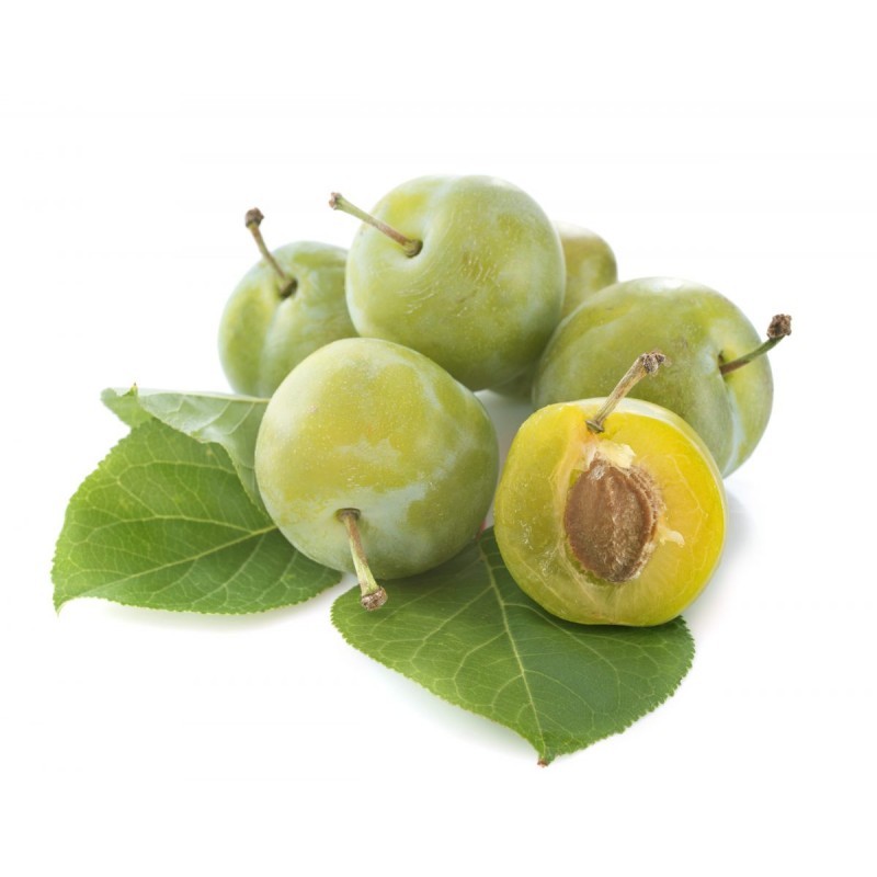 Prune reine claude Vars (10)