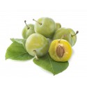 Prune reine claude Vars (10)