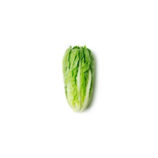 Laitue Romaine (10)