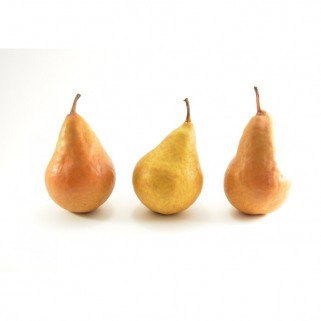 Poire durondeau (7)