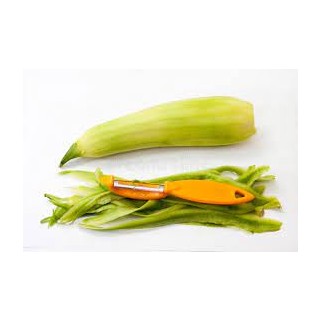 Courgette épluchée