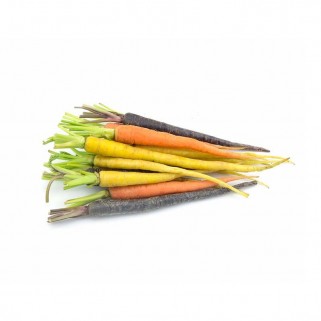 Mini carotte botte tricolore (8)