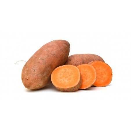 Patate douce orange(6)