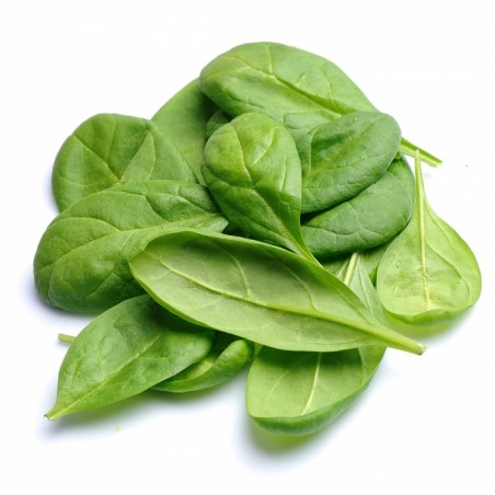 Epinards Lavés (3x300g)