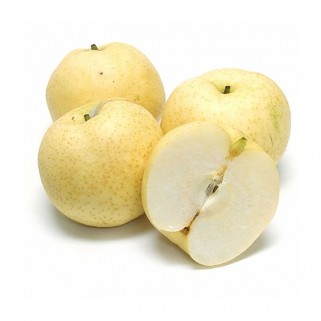 Poire nashi (10)