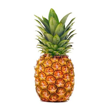 Ananas (8)