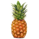 Ananas (8)