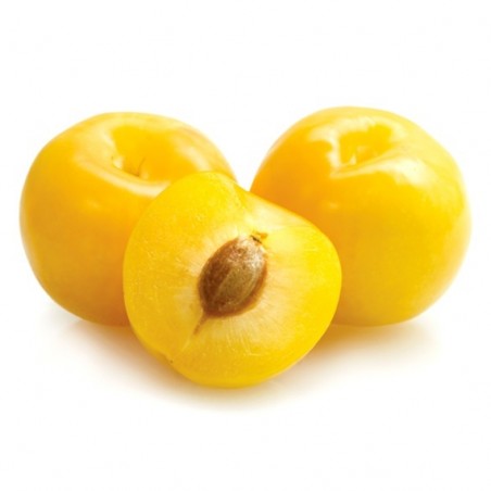 Prune jaune (10)