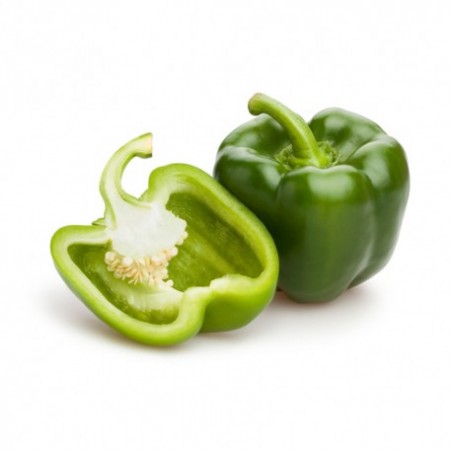 Poivron vert (5)