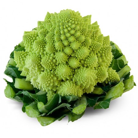 Chou fleur romanesco (6)