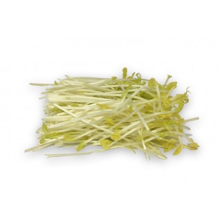 Jet d'asperge 100gr
