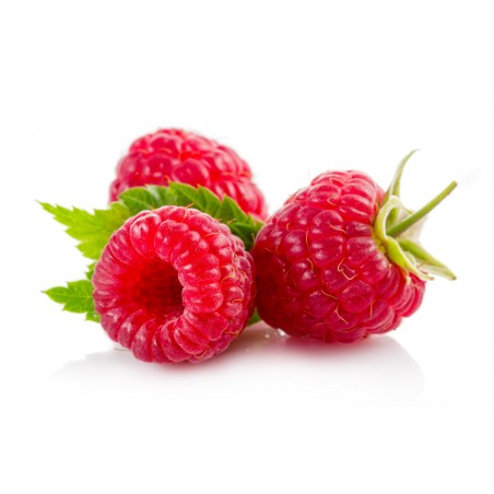 Framboise 125gr (15)